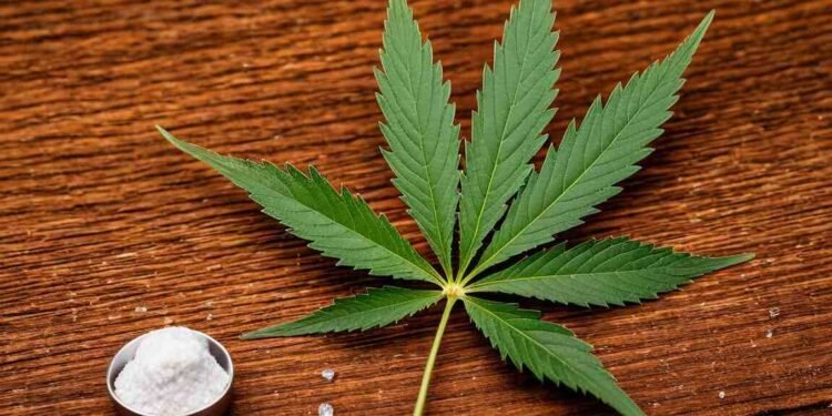 Can THC Dehydrate You